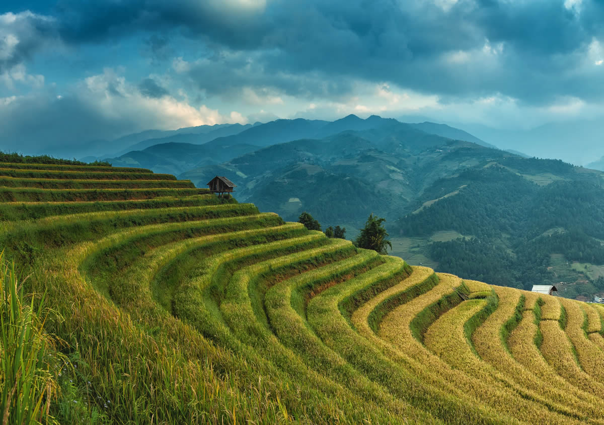 Trải nghiệm trekking Sapa (Ý Linh Hồ, Lao Chải, Tả Van, Giang Tả Chải) - Tour 2N1N