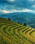 Tour Thái Lan