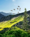 Tour Thái Lan